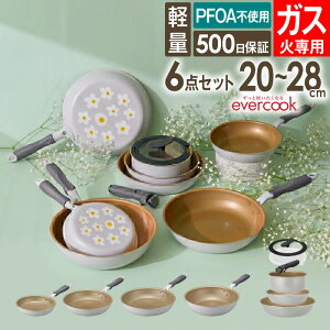 evercook �G�o�[�N�b�N �K�X��p �y�� �t���C�p�� 20cm 26cm 28cm ���E6�_�Z�b�g �ԕ��O���[ �h�E�V�V�� �^ �K�X�ΑΉ� �t���C�p�� �ł��t���ɂ��� ������ DOSHISHA �y�� �y�� PFOA�s�g�p