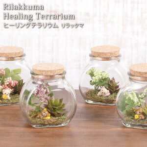 テラリウム インテリア Diy 工具の人気商品 通販 価格比較 価格 Com