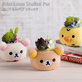 楽天市場 キャラクター 観葉植物の通販
