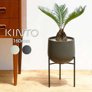 KINTO Lg[ vg|bg 211 160mm Lg[ ^ Lg-@G {^jJ V Mtg ̓ ̓