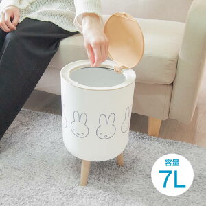 miffy ~btB[ ꌓ_Xg{bNX IJg[ ^ t^t  [ vbV ی` k ؖڒ CeA ݔ rt ܌Ȃ  킢 G zCg Mt