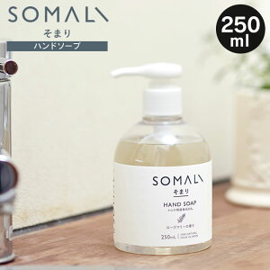 SOMALI nh\[v t̐΂ 250ml ܂ ؑΌ ^ nh\[v Ό ΂  nhEHbV t  蔧 D VR ێ [Y}[ r q { made in