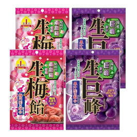 生巨峰飴/生梅飴(2袋×2種類)リボン 生食感 開封日シール付（アウトレット箱なし、便）【在庫あり】