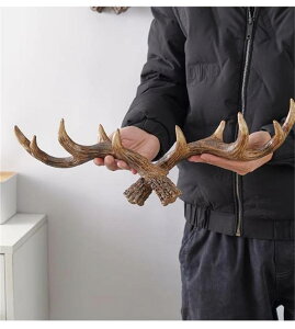 lCinsb kCeA ̊pA[gtbN ֕Ǐ聕[ AeB[NR[gnK[(N)