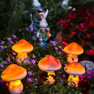 Ȃᑹ \[[Cg ˊO LmRCg Őϗ O LEDCg } hbOO(N)