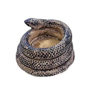 `FX {[h ؐ ^ ܂ RpNg ] l  }Olbg  vl Q[(N)