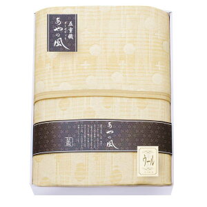 B̕ E[܏dDK[[Pbg SAW-15001(N)