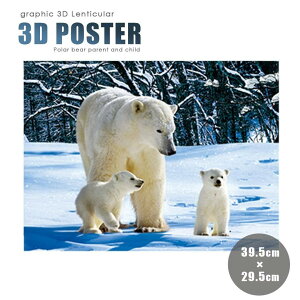 【在庫限り】インテリア 3D 絵 ホッキョクグマ クマさん 熊 赤ちゃん グマ レンチキュラー(N)