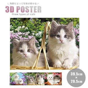y݌ɌzCeA 3D L lR CAT `L[ Aj}  A[g gbN  G(N)