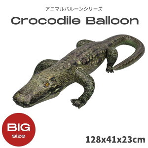 y݌Ɍzo[ j NR_C Aj} D ap[eB[ iC q qǂ(N)