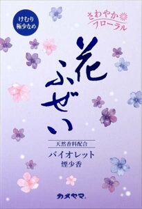 Ԃӂ@oCIbg@@p^ y J} z y  z(N)