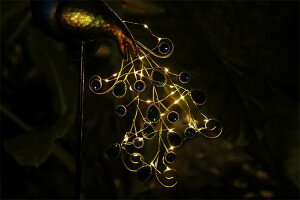 Oo \[[Cg E ԉCg ߍ݃C~l[V E H|i(N)