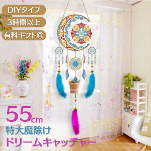 y݌Ɍz Ntg h[Lb`[ zƌ r[Y nhCh | Lbg(N)