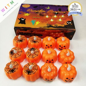 Halloween nEB ڂ X^hCg LED Cg v d dr(N)