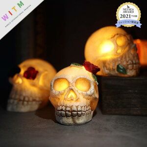 Halloween  nEB X^hCg LED Cg v d dr |(N)