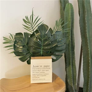 INSX^C ΐA t v  u hCt[A[g ؂̗t V~[V T̔wt(N)