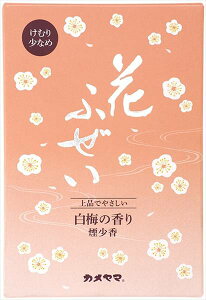 Ԃӂ~@@p^ y J} z y  z(N)