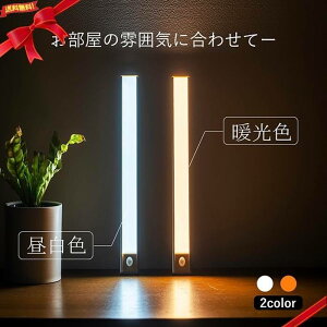 7Life ^ lZT[LEDCg MTCY 280mm(N)