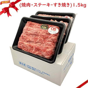 (Ⓚ)R` lMtg{bNX 1.5kg (ēEXe[LEĂ)(N)