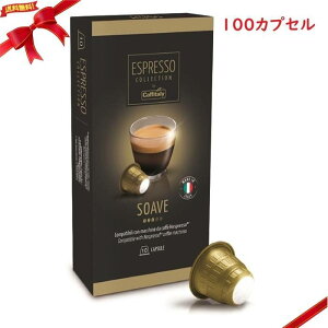 JtB^[ lXvb\݊JvZ SOAVE 100JvZ(N)