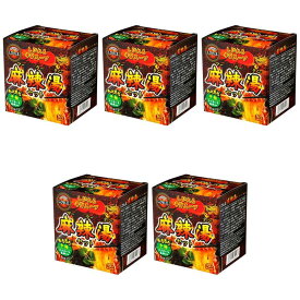 アライドコーポレーション 四川料理しびれ王 麻辣湯セット 1人前×2食 × 5【Y倉庫】