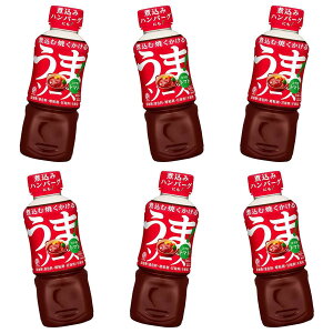 �u���h�b�N�\�[�X ���܃\�[�X �R�N�|�g�}�g 300ml × 6�yY�q�Ɂz