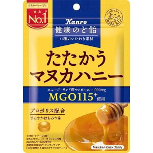 y7ZbgzKANRO N̂ǈ}kJnj[ 80gyYqɁz