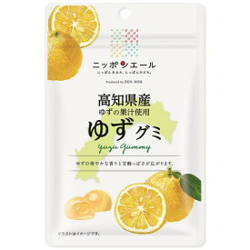 【10セット】JA全農 ニッポンエール 高知県産 ゆずグミ 40g【Y倉庫】