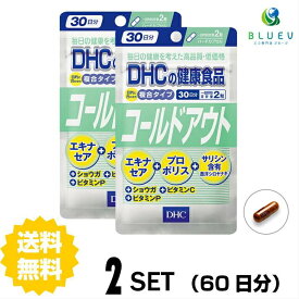 DHC サプリメント コールドアウト 30日分（60粒） ×2セット