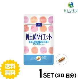 DHC サプリメント 善玉菌ダイエット 30日分（30粒） ×1セット