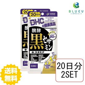 DHC サプリメント 醗酵黒セサミン＋スタミナ 20日分（120粒） ×2セット