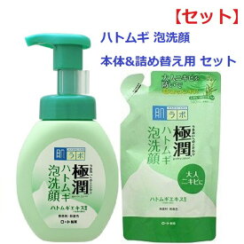 【セット】【送料無料】 肌ラボ 極潤 ハトムギ 泡洗顔 160ml & つめかえ用 140ml