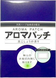 ywzA}pb`@傤̍@30  N[[V Fpb` ubNybp[