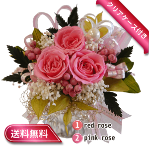 123 i2025N09lCio[3)@yzvU[uht[ AWg KN ւsv y bhn sNn z bsO  ʔ  lC Mtg v[g C