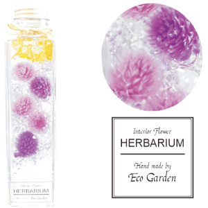 089 i2025N10lCio[3)@ g p[v CbN n[oE herbarium vU[uht[  bsO bZ[WJ[h   lC Mtg v[