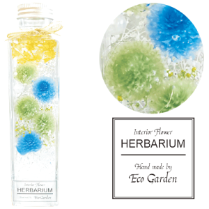 090 g u[ O[ n[oE herbarium vU[uht[ hCt[  bsO bZ[WJ[h   lC Mtg v[g t[ ؂