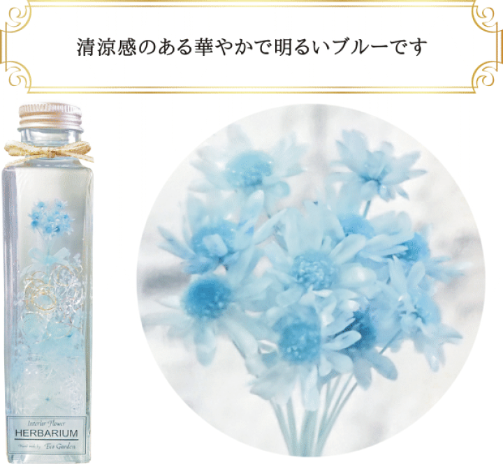 楽天市場】098 スターフラワー ライトブルー ブーケ 花束 ハーバリウム