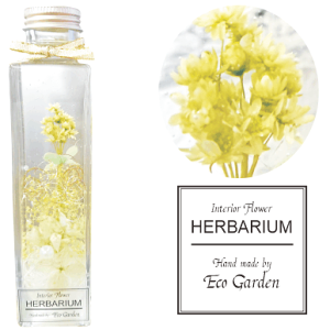 099 X^[t[ CgO[ u[P ԑ n[oE vU[uht[ hCt[  bsO bZ[WJ[h   lC Mtg v[g t