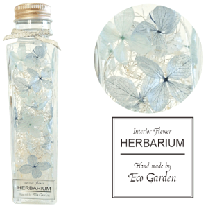 054  xr[u[ x_[ n[oE herbarium vU[uht[ hCt[  bsO bZ[WJ[h   lC Mtg v[g t