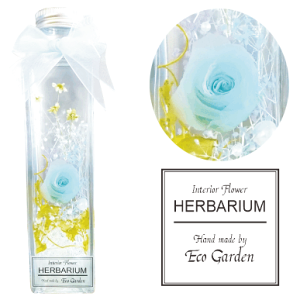 055 KN Cgu[ X^[t[ n[oE herbarium vU[uht[ hCt[  bsO bZ[WJ[h   lC Mtg v[g t