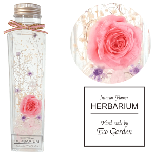 056 KN(sNjX^[t[ n[oE herbarium vU[uht[ hCt[  bsO bZ[WJ[h   lC Mtg v[g t