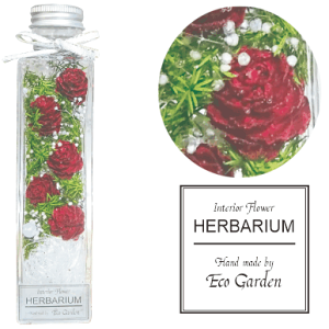 060 i2022N11lCio[3)@ NX}X bh  n[oE herbarium vU[uht[  bsO bZ[WJ[h   lC Mtg v[g 