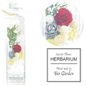 065 NX}Xiwinterj n[oE herbarium vU[uht[ hCt[  bsO bZ[WJ[h   lC Mtg v[g t[ ؂₩ 