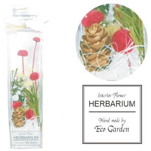 063 NX}Xiautumnwinterj n[oE herbarium vU[uht[ hCt[  bsO bZ[WJ[h   lC Mtg v[g t[ 