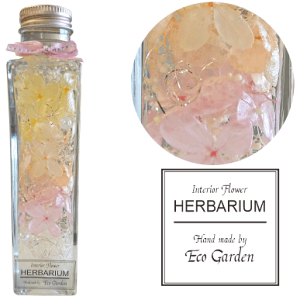 125 i2025N7lCio[3)@ӂ肠 Jt3FisNEIWECG[j n[oE  bsO bZ[WJ[h   lC Mtg v