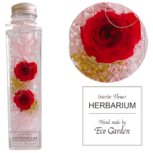 101 i2025N9E10ElCio[2)@ KN 2 bh [Y  n[oE herbarium vU[uht[  bsO bZ[WJ[h   lC Mtg v