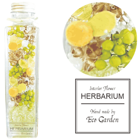 108 フィビキア ペッパーベリー グリーン ハーバリウム herbarium プリザーブドフラワー ドライフラワー 送料無料 ラッピング無料 メッセージカード無料 花 おしゃれ 人気 ギフト プレゼント フラワー 華やか 豪華 インテリア 雑貨 誕生日 お祝い 記念日 贈り物