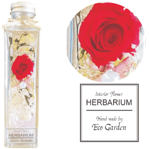 109 i2023N11lCio[3)@lC KN C[vc [Y bh n[oE vU[uht[  bsO bZ[WJ[h   lC Mtg