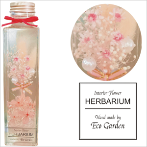 110 u[P sN ԑ n[oE herbarium vU[uht[ hCt[  bsO bZ[WJ[h   lC Mtg v[g t[ ؂₩ 