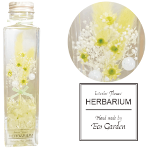 113 u[P O[ ԑ n[oE herbarium vU[uht[ hCt[  bsO bZ[WJ[h   lC Mtg v[g t[ ؂₩ 